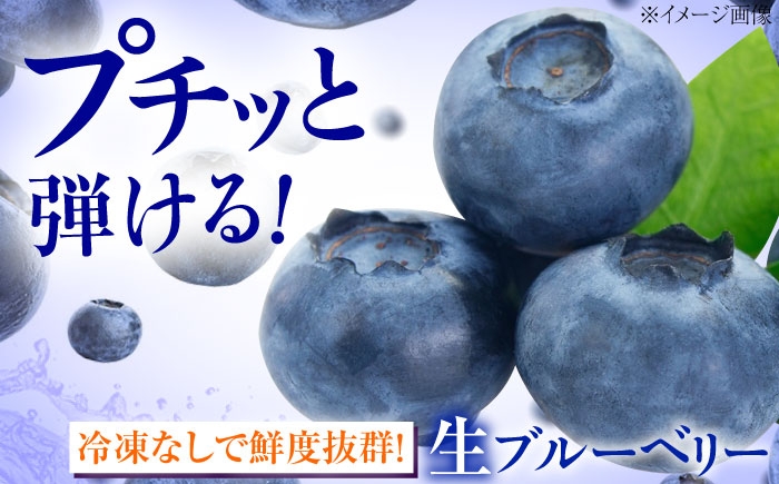 冷蔵 フルーツ 果物 ブルーベリー 生 ジャム スムージー ドリンク 1kg