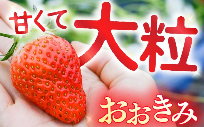 いちご 約1kg