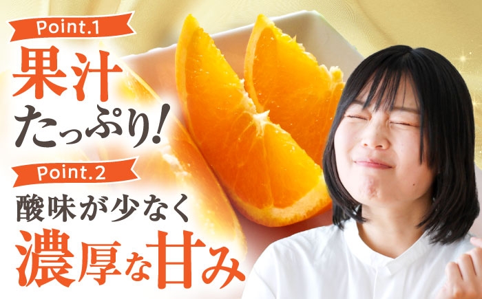 柑橘 蜜柑 みかん ミカン 愛果28号 訳あり 訳アリ 3kg 小玉 愛媛