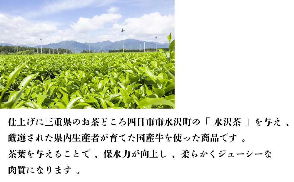 四日市市の水沢地区で育てられた水沢茶の茶畑