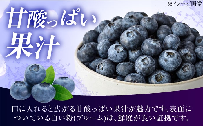 冷蔵 フルーツ 果物 ブルーベリー 生 ジャム スムージー ドリンク 1kg