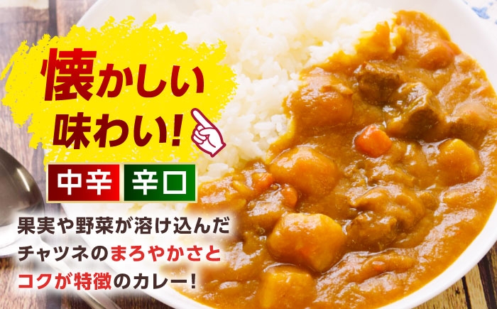 ハヤシもあるでよ！オリエンタルマースカレーのバラエティ3種セット！スプーン付き！