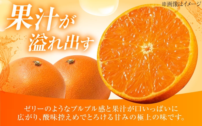 柑橘 蜜柑 みかん ミカン みかんジュース 愛果28号 3kg 甘い 愛媛 贈答
