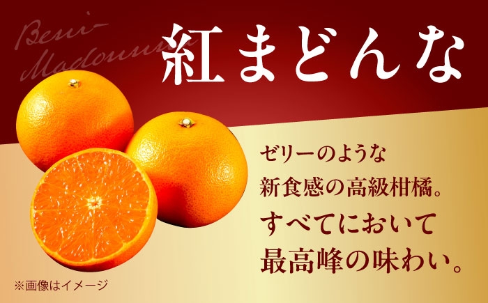 柑橘 蜜柑 みかん ミカン みかんジュース 紅まどんな 3kg 甘い 愛媛 贈答