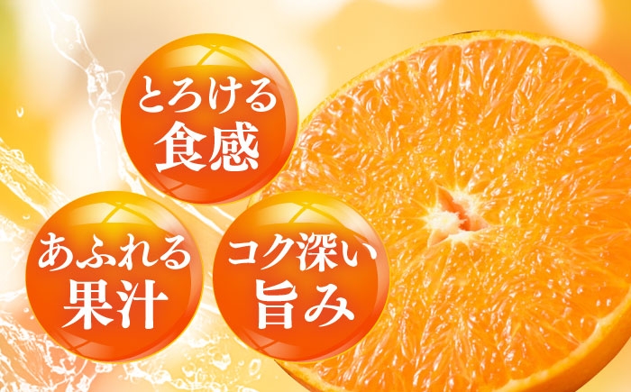 柑橘 蜜柑 みかん ミカン 愛果48号 訳あり 訳アリ 3kg 小玉 愛媛