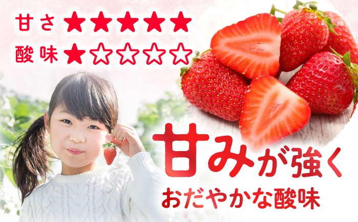 かおりの いちご 3kg