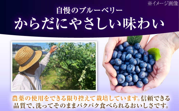 冷蔵 フルーツ 果物 ブルーベリー 生 ジャム スムージー ドリンク 1kg