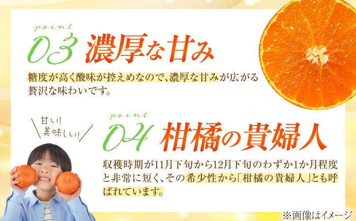柑橘 蜜柑 みかん ミカン 愛果28号 訳あり 訳アリ 3kg 小玉 愛媛