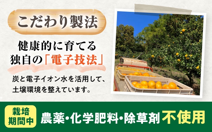 柑橘 蜜柑 みかん ミカン 愛果28号 訳あり 訳アリ 3kg 小玉 愛媛