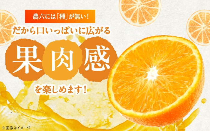 柑橘 蜜柑 みかん ミカン みかんジュース とべ農六柑 5kg 小玉 愛媛 贈答