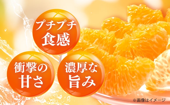 柑橘 蜜柑 みかん ミカン 愛果48号 訳あり 訳アリ 3kg 小玉 愛媛