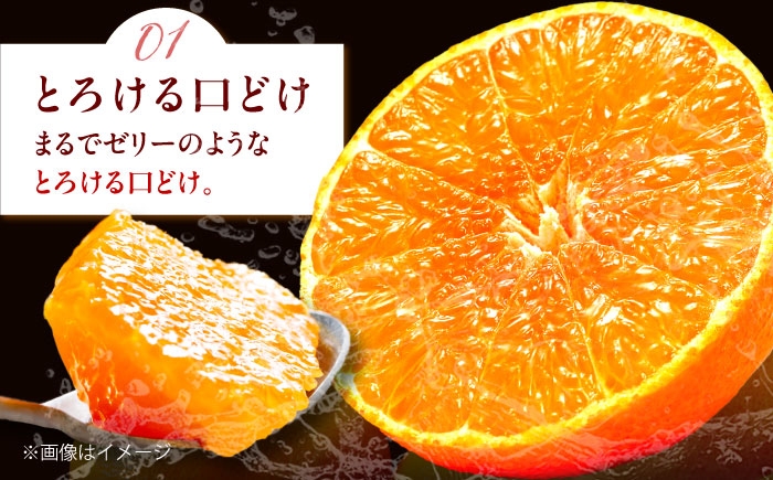 柑橘 蜜柑 みかん ミカン みかんジュース 紅まどんな 3kg 甘い 愛媛 贈答