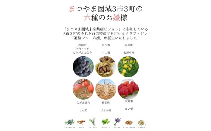 クラフトジン 蒸留酒 お酒 ジン スピリッツ 地酒 晩酌 宅飲み 贈答 ギフト