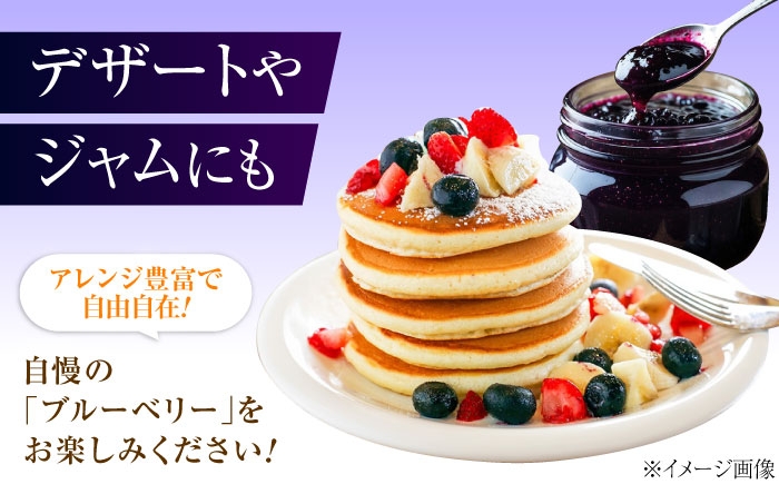 冷蔵 フルーツ 果物 ブルーベリー 生 ジャム スムージー ドリンク 1kg