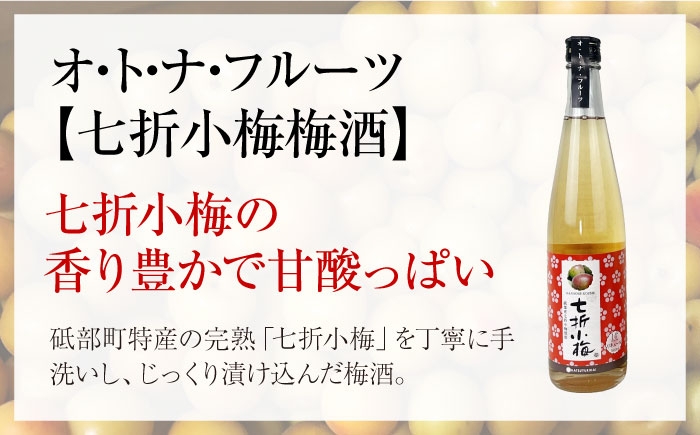 日本酒 梅酒 セット 飲み比べ 初雪盃 純米吟醸 七折小梅 リキュール