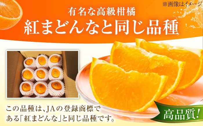 柑橘 愛果28号 訳あり 訳アリ 5kg キズあり サイズいろいろ　愛媛