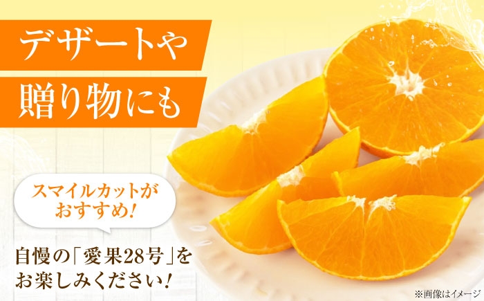 柑橘 蜜柑 みかん ミカン みかんジュース 愛果28号 3kg 甘い 愛媛 贈答