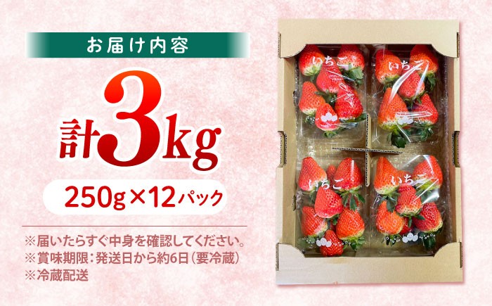 かおりの いちご 3kg