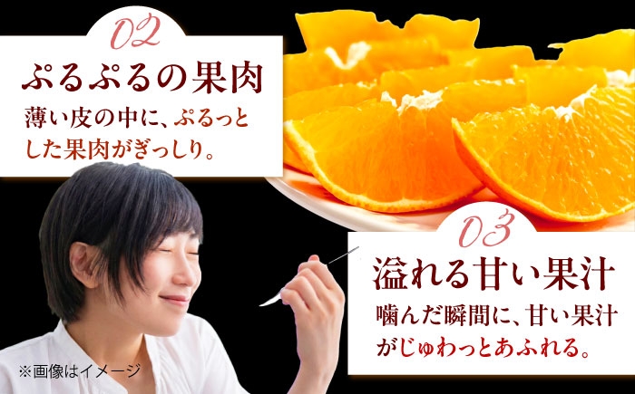 柑橘 蜜柑 みかん ミカン みかんジュース 紅まどんな 3kg 甘い 愛媛 贈答