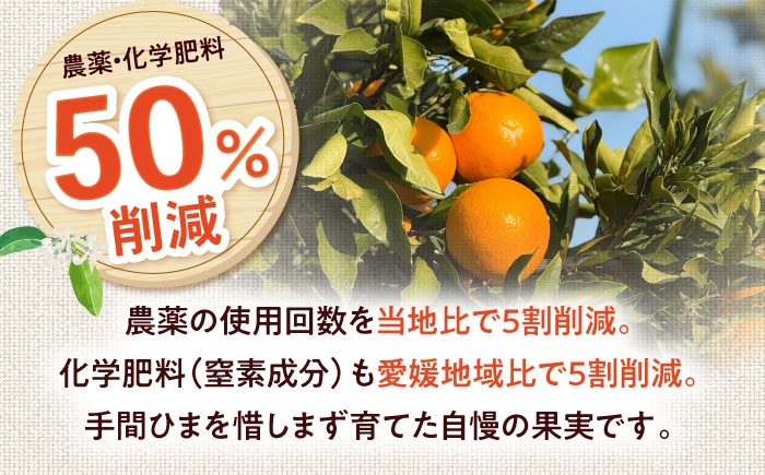 柑橘 蜜柑 みかん ミカン 愛果48号 訳あり 訳アリ 3kg 小玉 愛媛