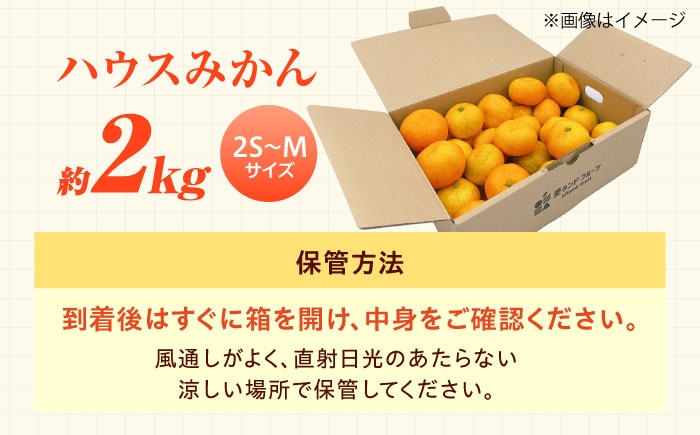 冷やしてさらにおいしく！暑い季節に楽しめるハウスみかん！