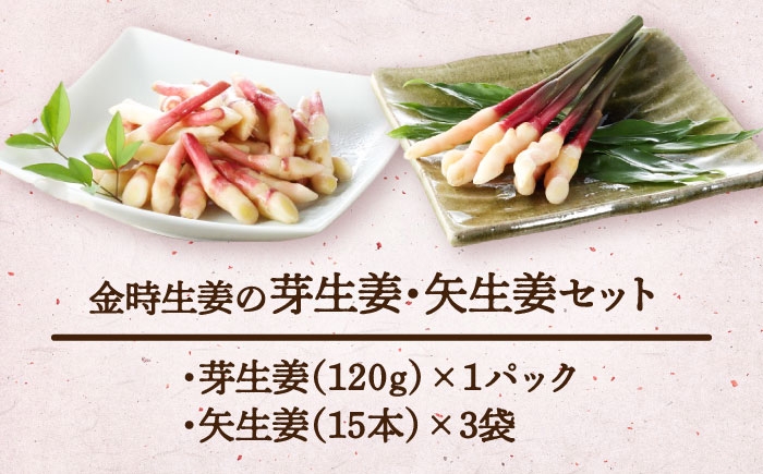 旬の金時生姜！瑞々しく、爽やかな香りと辛味をお楽しみいただけます！