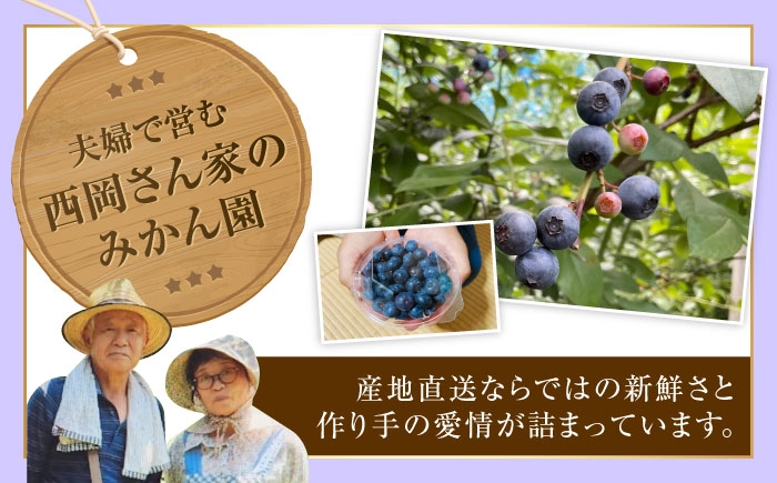 冷蔵 フルーツ 果物 ブルーベリー 生 ジャム スムージー ドリンク 1kg