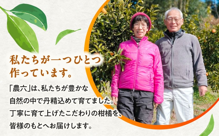 柑橘 蜜柑 みかん ミカン みかんジュース とべ農六柑 5kg 小玉 愛媛 贈答