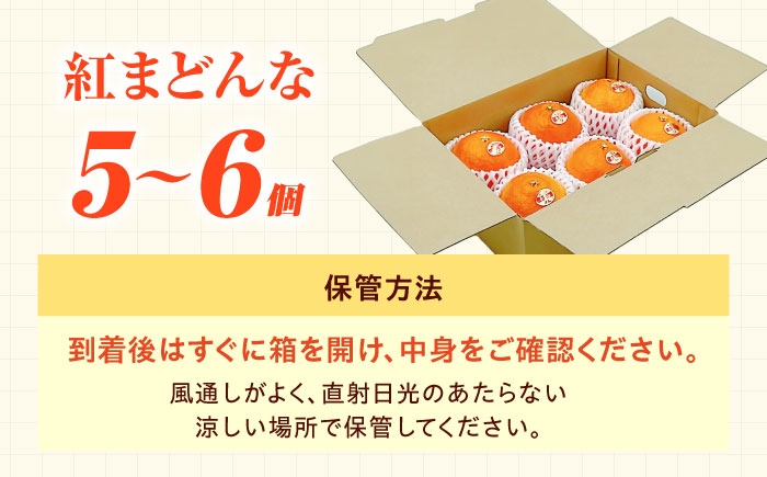 柑橘 蜜柑 みかん ミカン 紅まどんな 甘い 箱 1箱 愛媛 贈答 贈答用