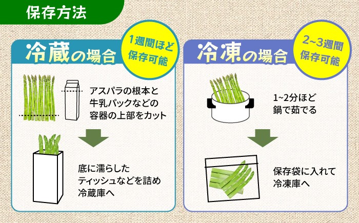 アスパラガス アスパラ 野菜 やさい 訳あり 期間限定