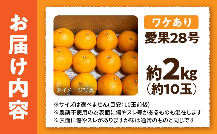 柑橘 蜜柑 みかん ミカン 愛果28号 訳あり 訳アリ 3kg 小玉 愛媛