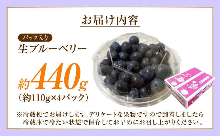 冷蔵 フルーツ 果物 ブルーベリー 生 ジャム スムージー ドリンク 1kg