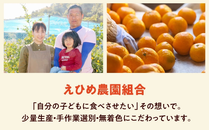柑橘 蜜柑 みかん ミカン 愛果48号 訳あり 訳アリ 3kg 小玉 愛媛