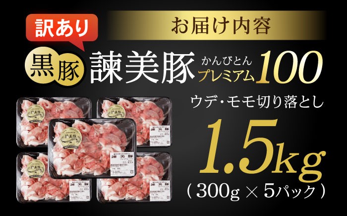 訳あり 訳あり商品 わけあり 黒豚 豚肉 ぶたにく 小分け 切り落とし 冷凍 パック 豚うで 豚ウデ 豚もも 豚モモ ブランド