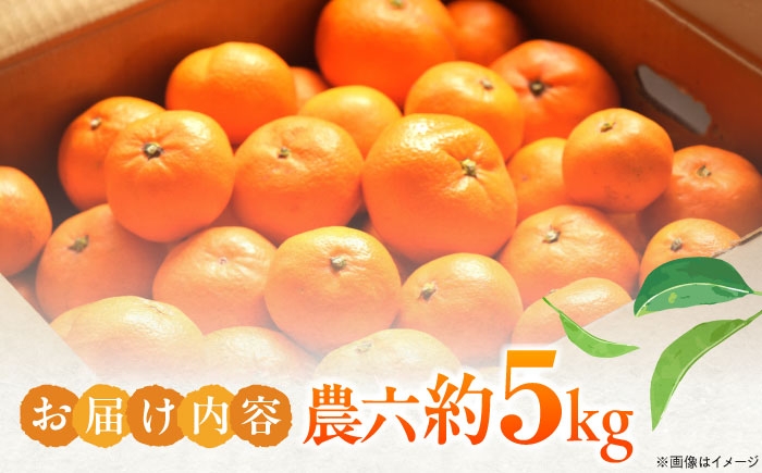 柑橘 蜜柑 みかん ミカン みかんジュース とべ農六柑 5kg 小玉 愛媛 贈答