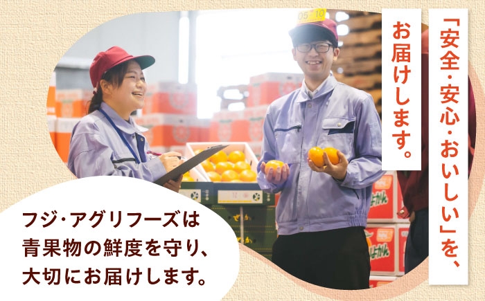 柑橘 蜜柑 みかん ミカン 紅まどんな 甘い 箱 1箱 愛媛 贈答 贈答用
