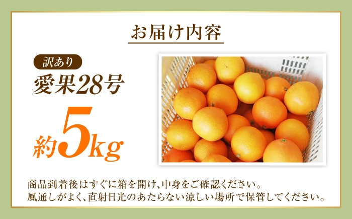 柑橘 愛果28号 訳あり 訳アリ 5kg キズあり サイズいろいろ　愛媛
