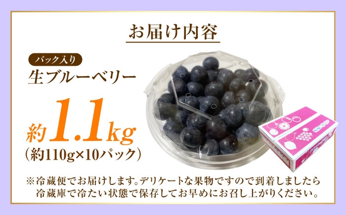 冷蔵 フルーツ 果物 ブルーベリー 生 ジャム スムージー ドリンク 1kg