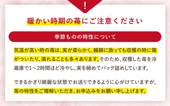 いちご 約3kg