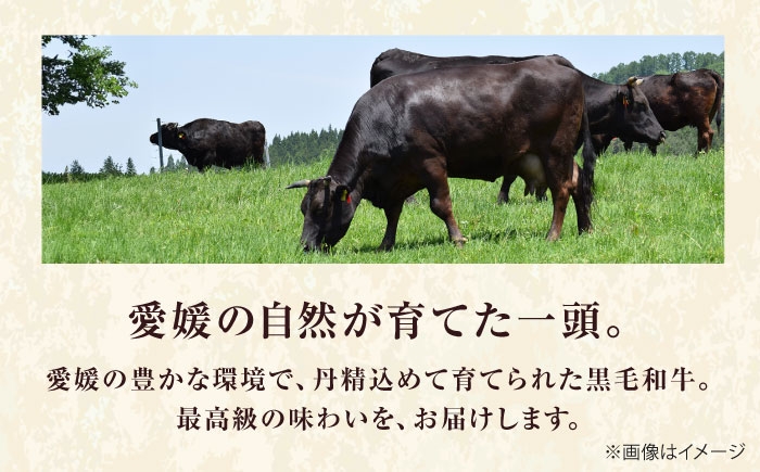黒毛和牛 伊予牛 和牛 牛肉 肉 牛 こま切れ 国産牛 ブランド牛 おかず