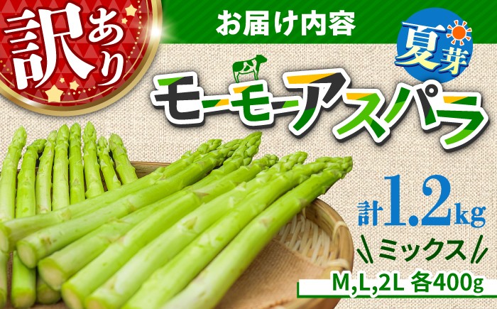 アスパラガス アスパラ 野菜 やさい 訳あり 期間限定