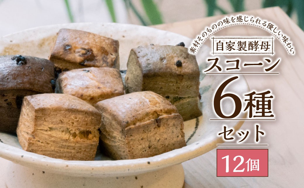 自家製酵母 スコーン セット 12個入り ／ お菓子 洋菓子 焼き菓子 