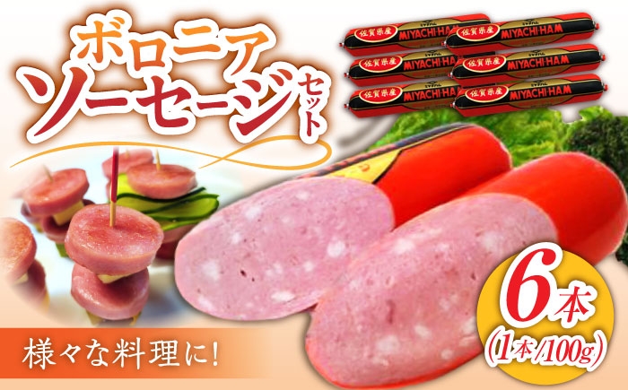 ボロニアソーセージ 600g（100g×6本）小分け 宮地ハム ソーセージ 国産 豚肉 肉 惣菜 使い切り おかず 弁当 朝食 
