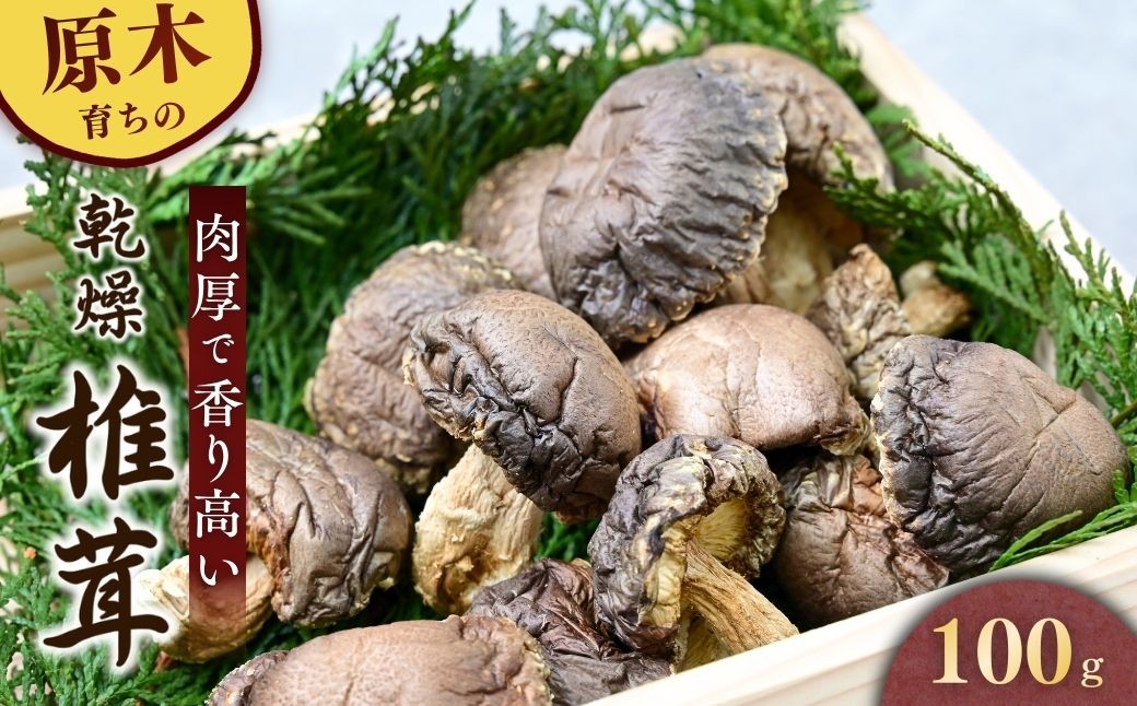 しいたけ シイタケ 乾しいたけ 干ししいたけ 干し椎茸 干しシイタケ 100g 龍ノ傘 国産 乾燥椎茸