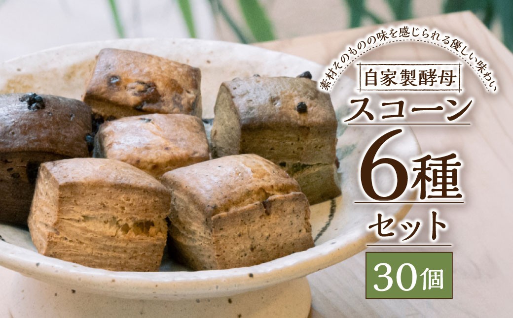 スコーン6種セット 30個入 ／ 合計約1200g スコーン 洋菓子 焼菓子 焼き菓子 お菓子