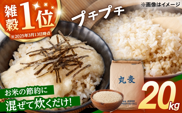  長崎県産 丸麦 20kg  麦 むぎ 雑穀 雑穀米 麦ごはん 麦みそ 麦味噌 食物繊維