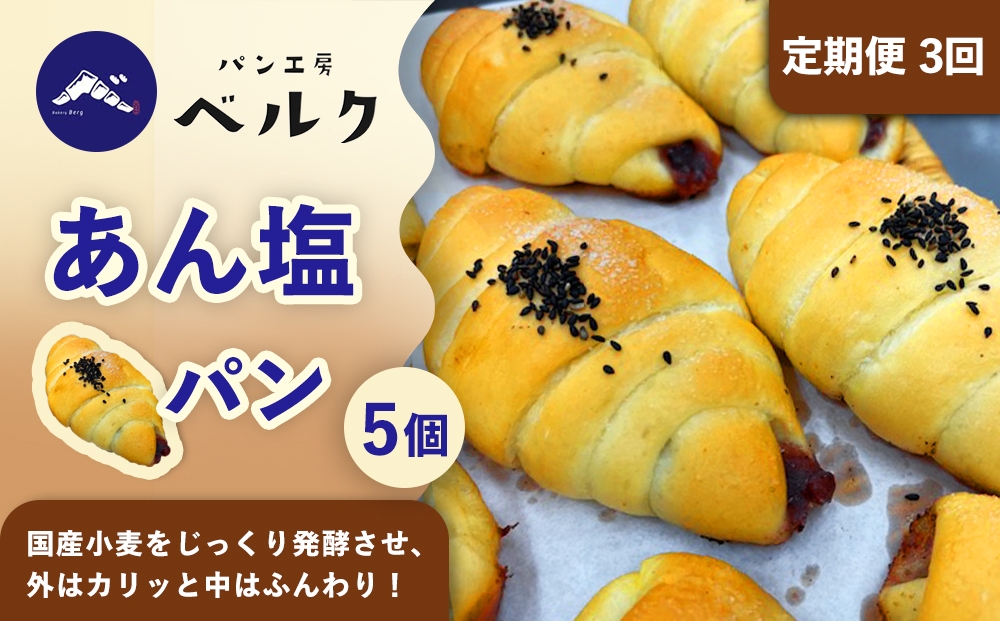 ふんわり塩パンに贅沢あんこのハーモニー