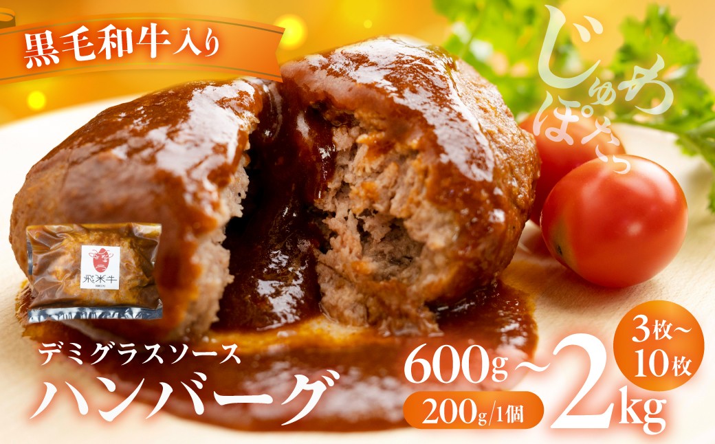 飛米牛　デミグラスハンバーグ　200g × 3~10枚