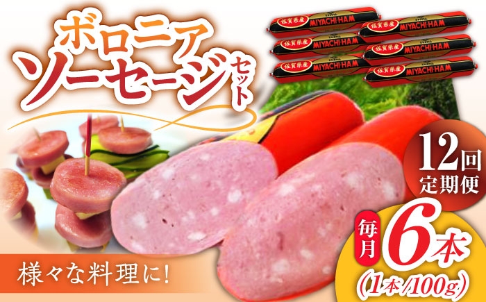 【12回定期便】宮地ハムのロングセラー ボロニアソーセージ 600g（100g×6本） /宮地ハム [UBM013]