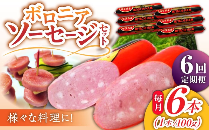 【6回定期便】宮地ハムのロングセラー ボロニアソーセージ 600g（100g×6本） /宮地ハム [UBM012]